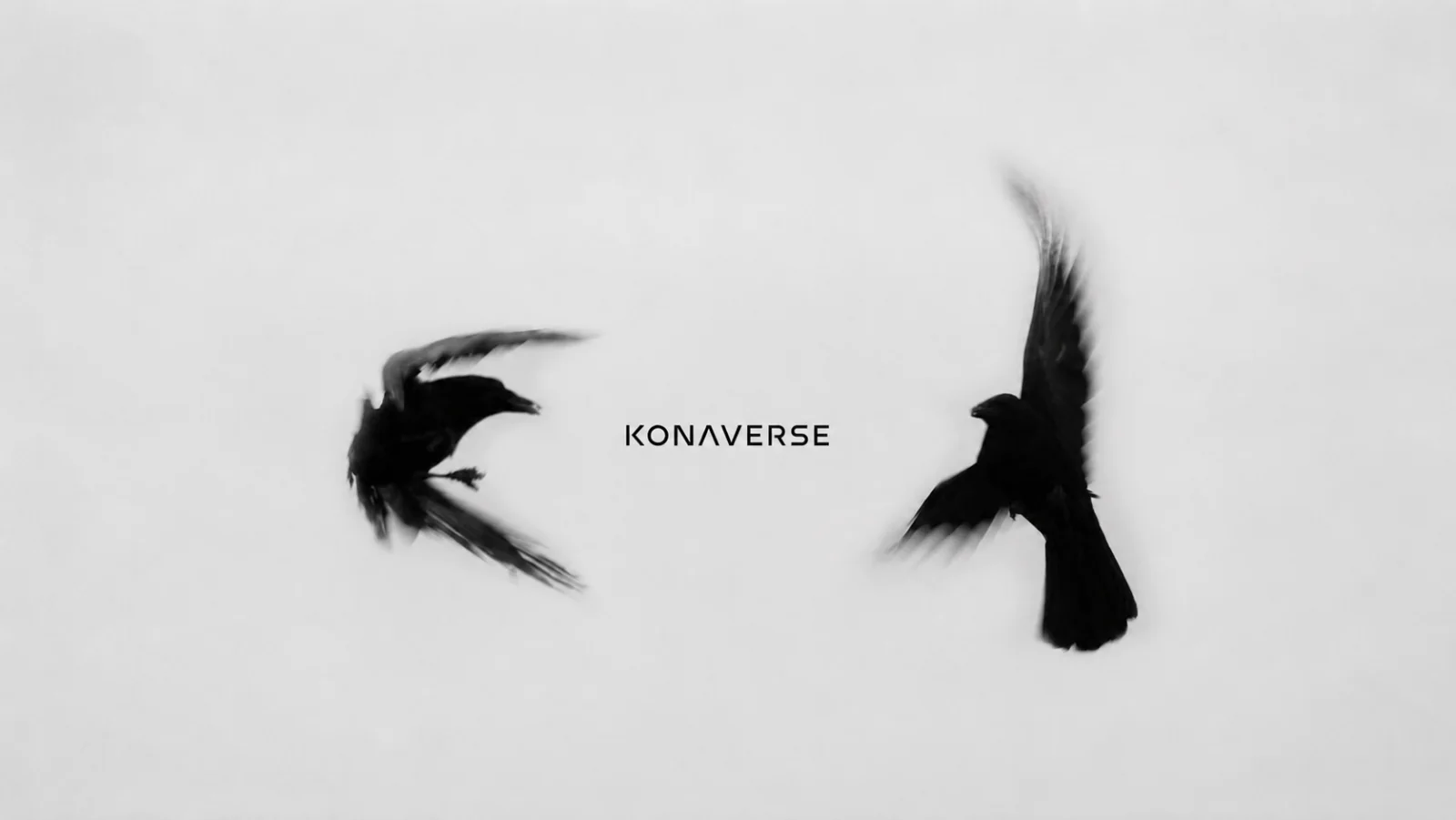The Konaverse wordmark between two birds in flight